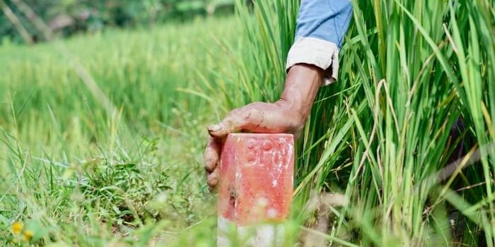 Sengketa Tanah Bisa Berawal dari Batas Tak Jelas, Ini Cara Mencegahnya