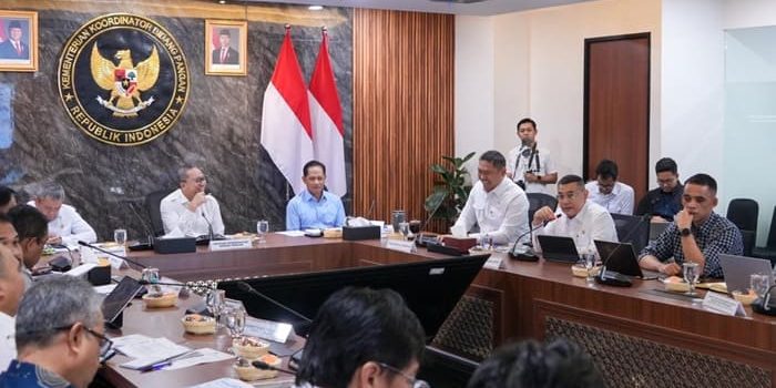 Wamen Ossy Dermawan Laporkan Progres Dukungan KSPEAN Papua Selatan