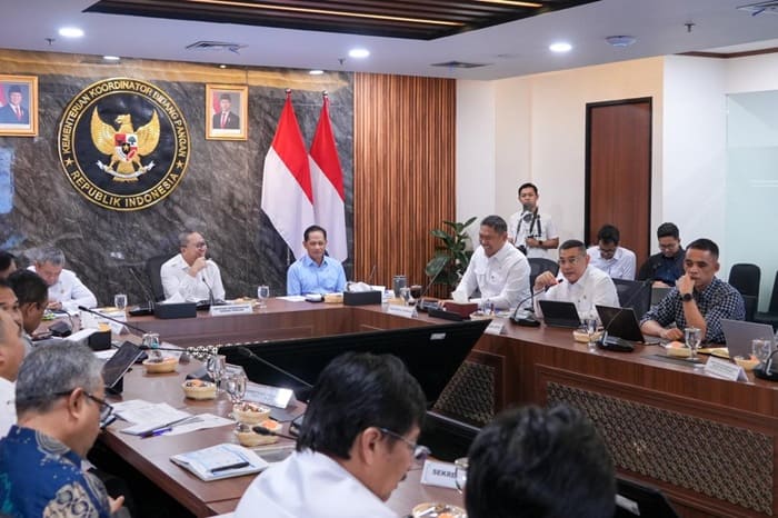 Wamen Ossy Dermawan Laporkan Progres Dukungan KSPEAN Papua Selatan